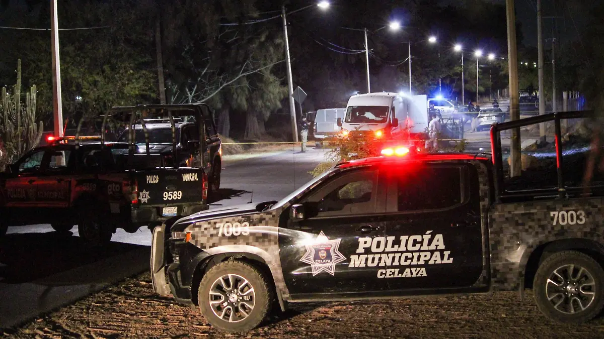 Mujeres asesinadas en Celaya 